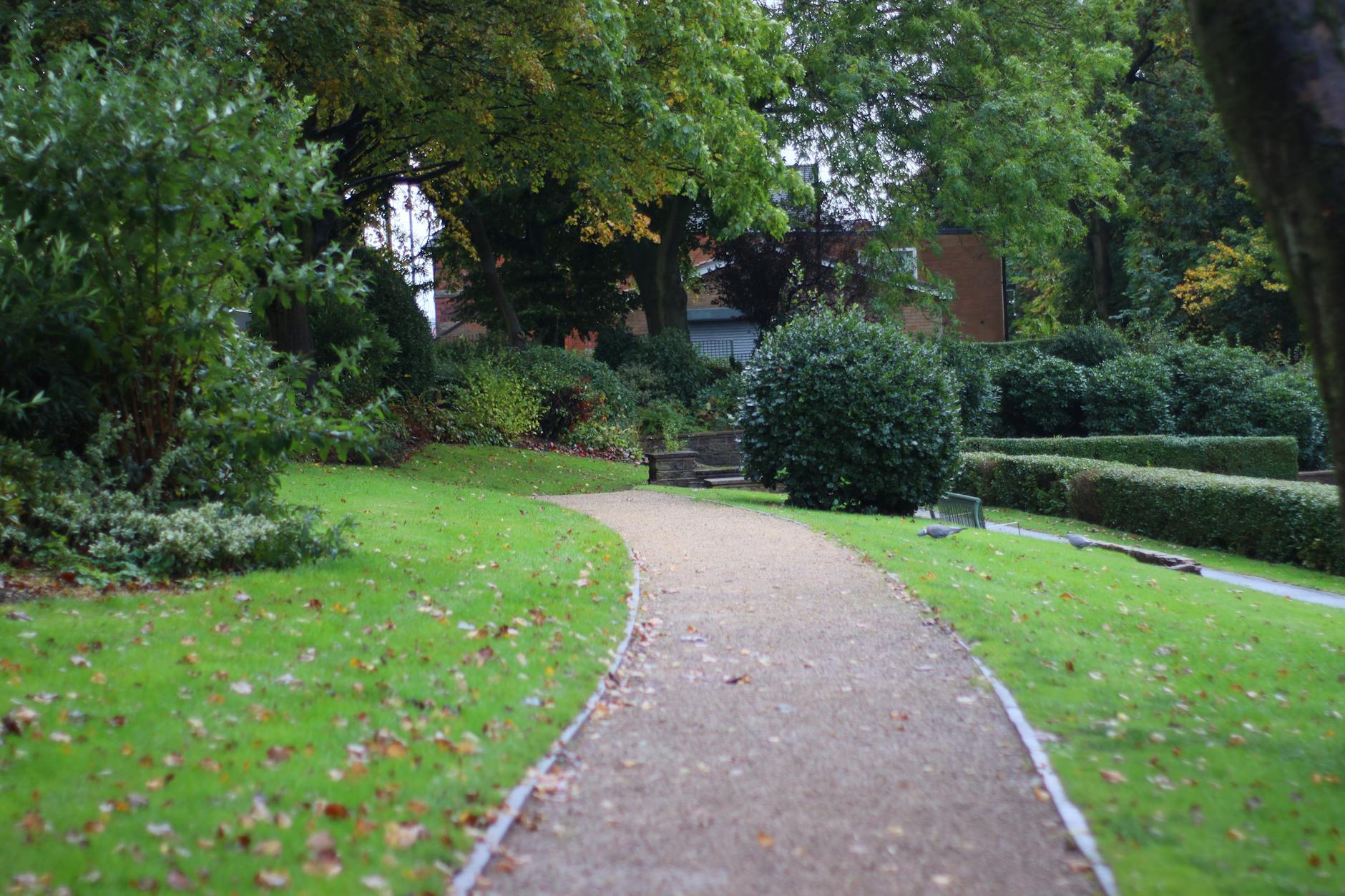 Leśna żwirowa ścieżka ogrodowa otoczona gęstą zielenią