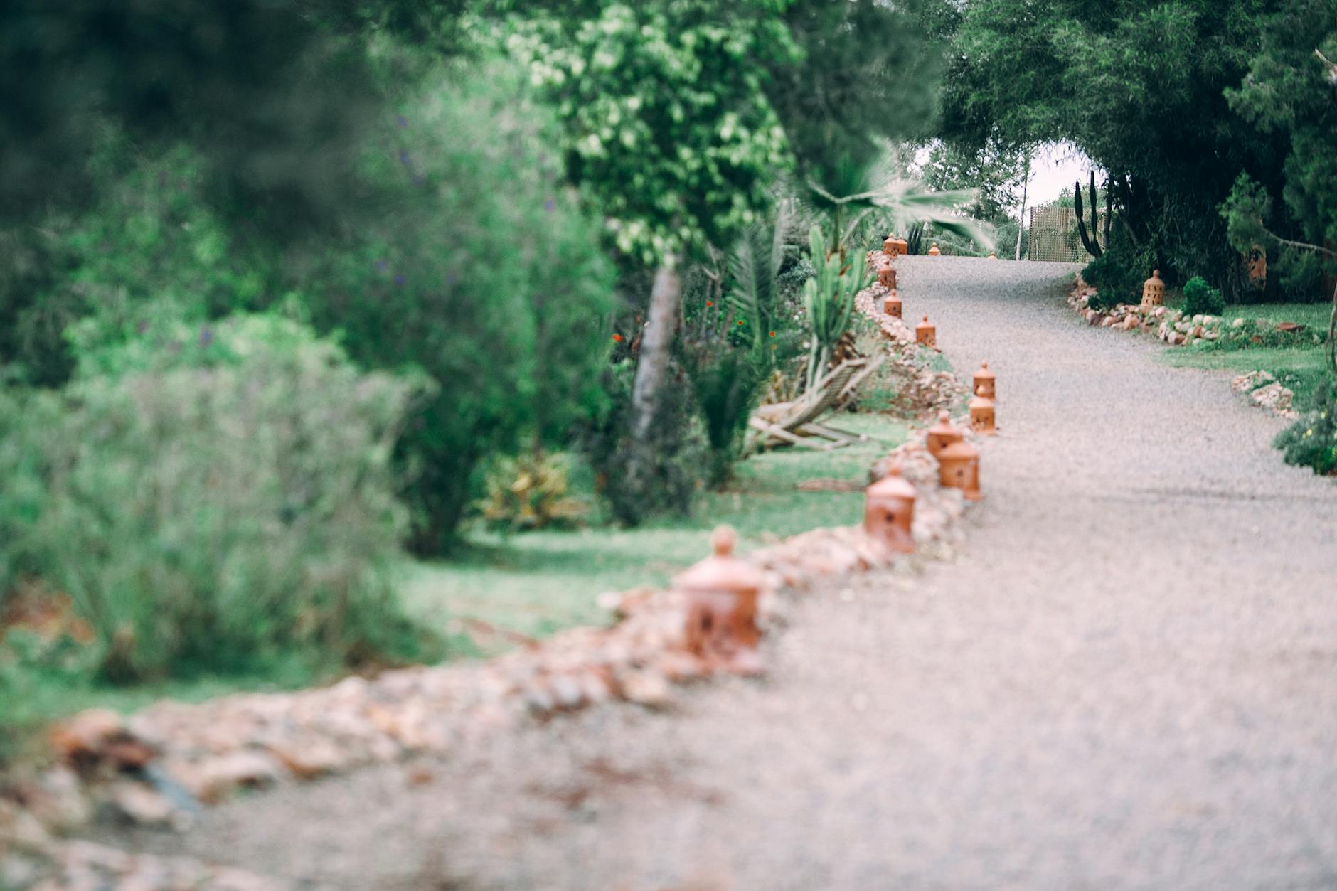 Wąska ścieżka żwirowa między gęstą zielenią w parku