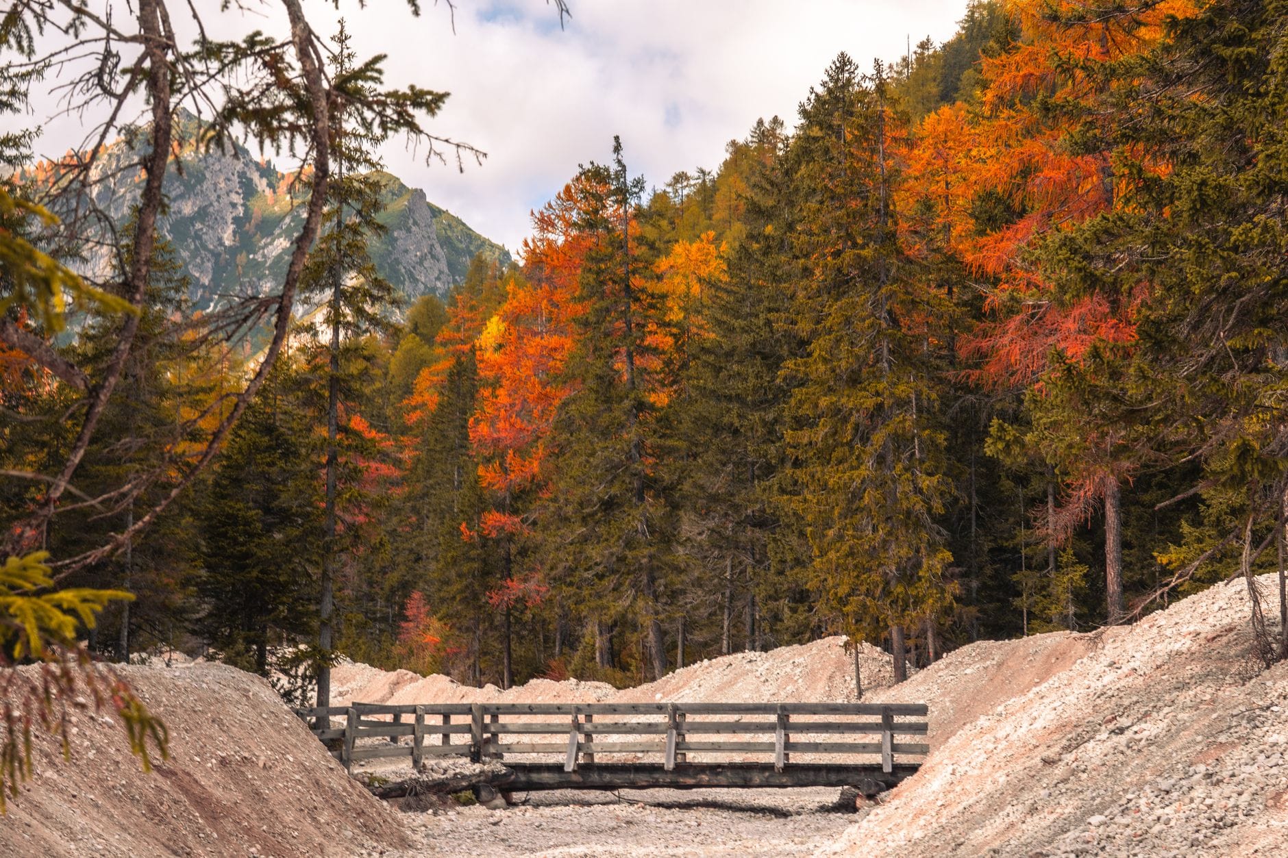 Jesienne drzewa i rustykalny most w Dolomitach Trentino-Südtirol